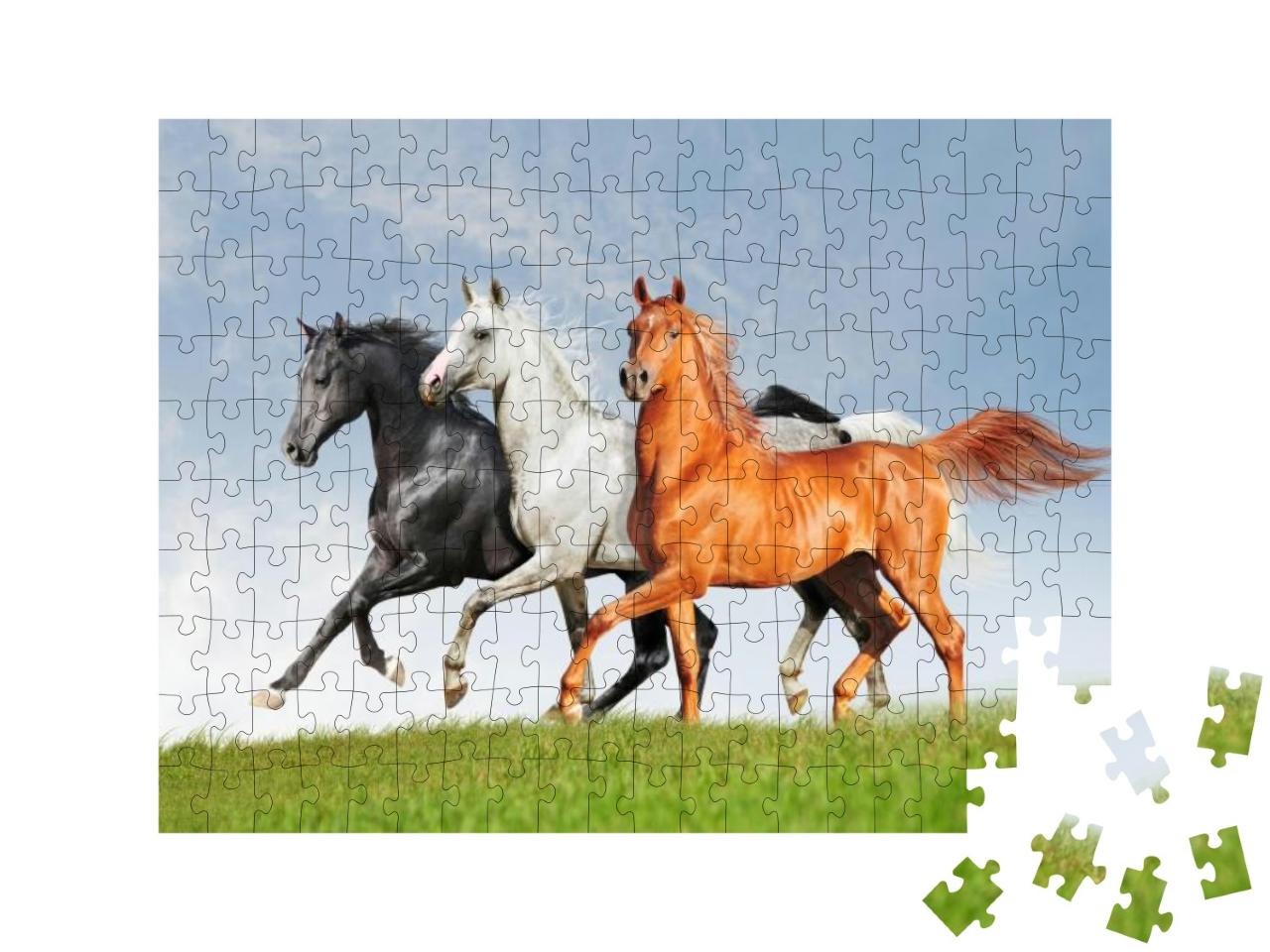 Three Arab Horse Runs Free... Jigsaw Puzzle with 200 pieces