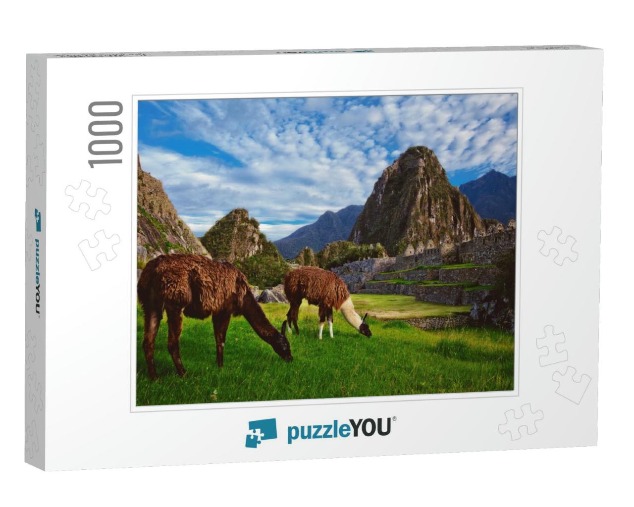 Two Llamas Eat Grass in the Inca Citadel of Machu Picchu... Jigsaw Puzzle with 1000 pieces