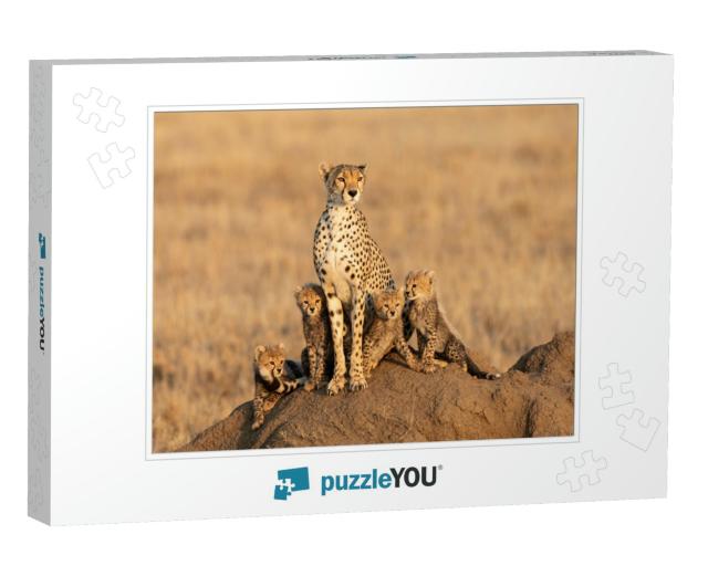 Female Cheetah & Her Four Tiny Cubs Sitting on a Large Te... Jigsaw Puzzle