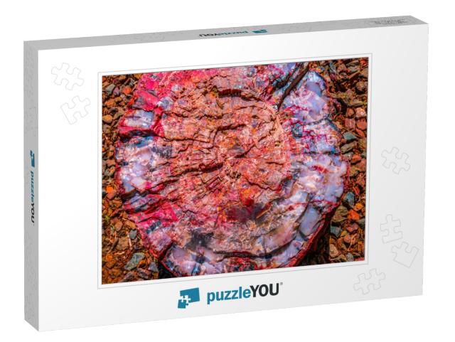 Red Blue Orange Petrified Wood Log Abstract Visitor Cente... Jigsaw Puzzle