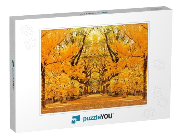 Central Park Autumn in Midtown Manhattan New York City... Jigsaw Puzzle