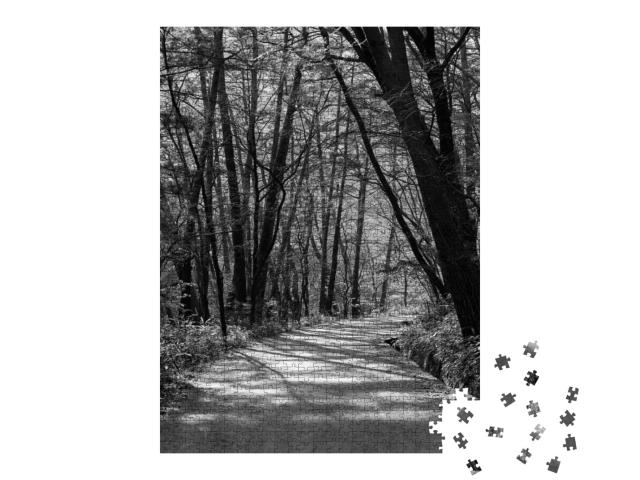 Black & White Photo of a Walkway Where Trees Grow Well on... Jigsaw Puzzle with 1000 pieces