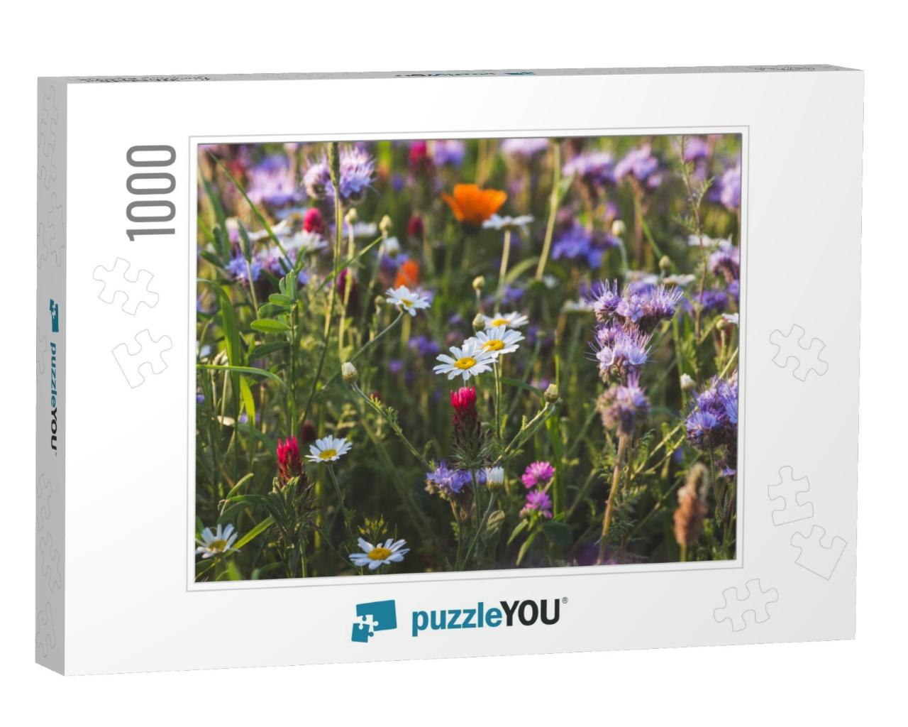 Colorful Flowering Herb Meadow with Purple Blooming Phace... Jigsaw Puzzle with 1000 pieces