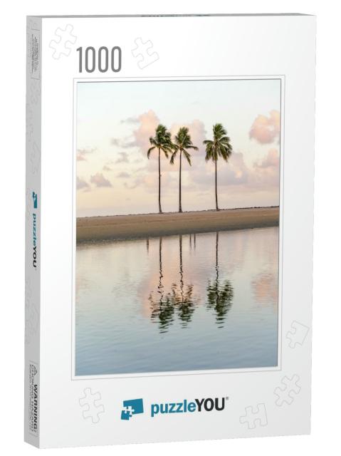 Palm Trees At a Lagoon in Honolulu, Hawaii... Jigsaw Puzzle with 1000 pieces