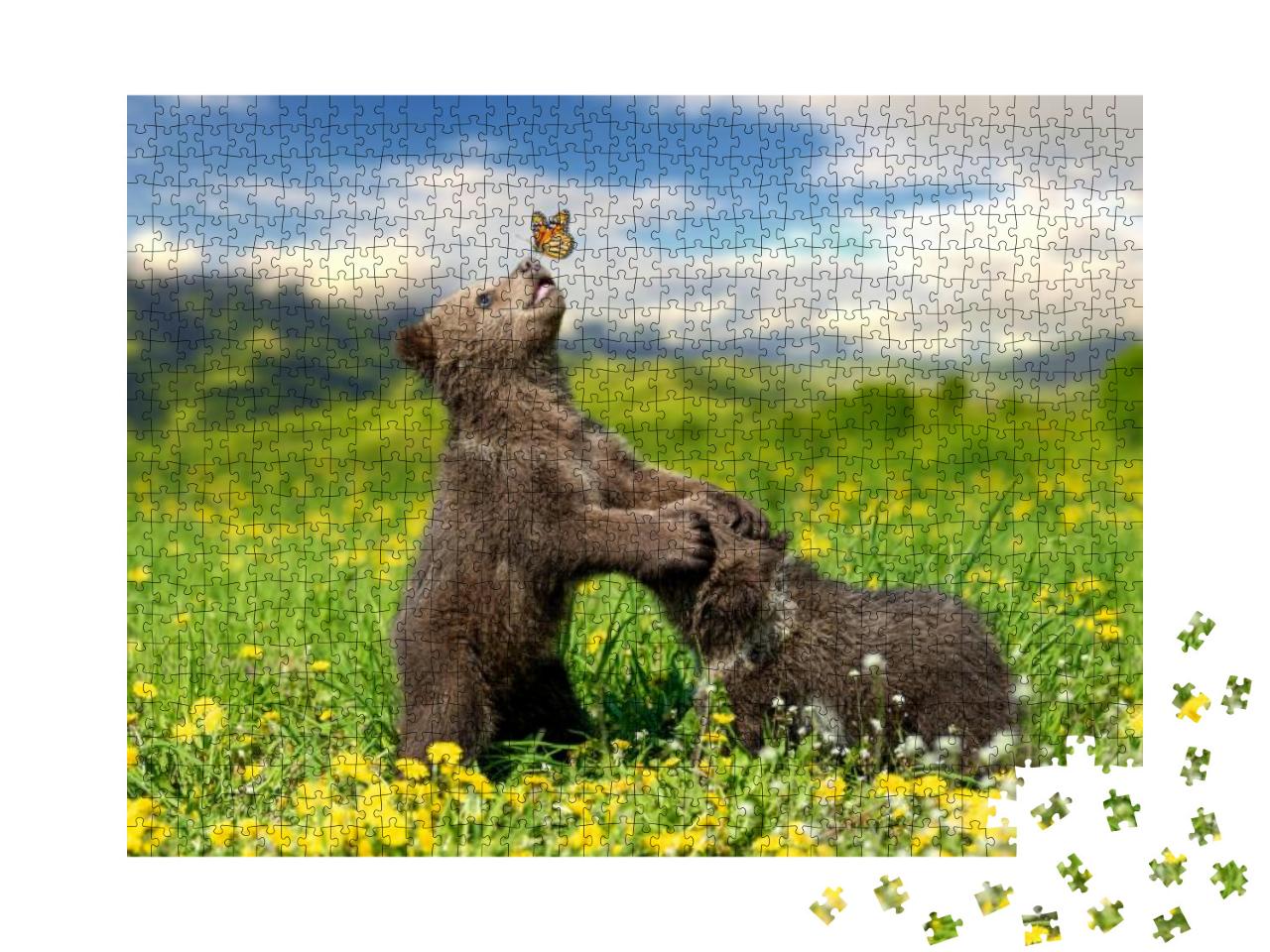 Brown Bear Cub Playing on the Summer Mountain with Butter... Jigsaw Puzzle with 1000 pieces