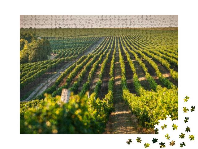 Beautiful Grape Field Growing for Wine Yard Summer... Jigsaw Puzzle with 1000 pieces