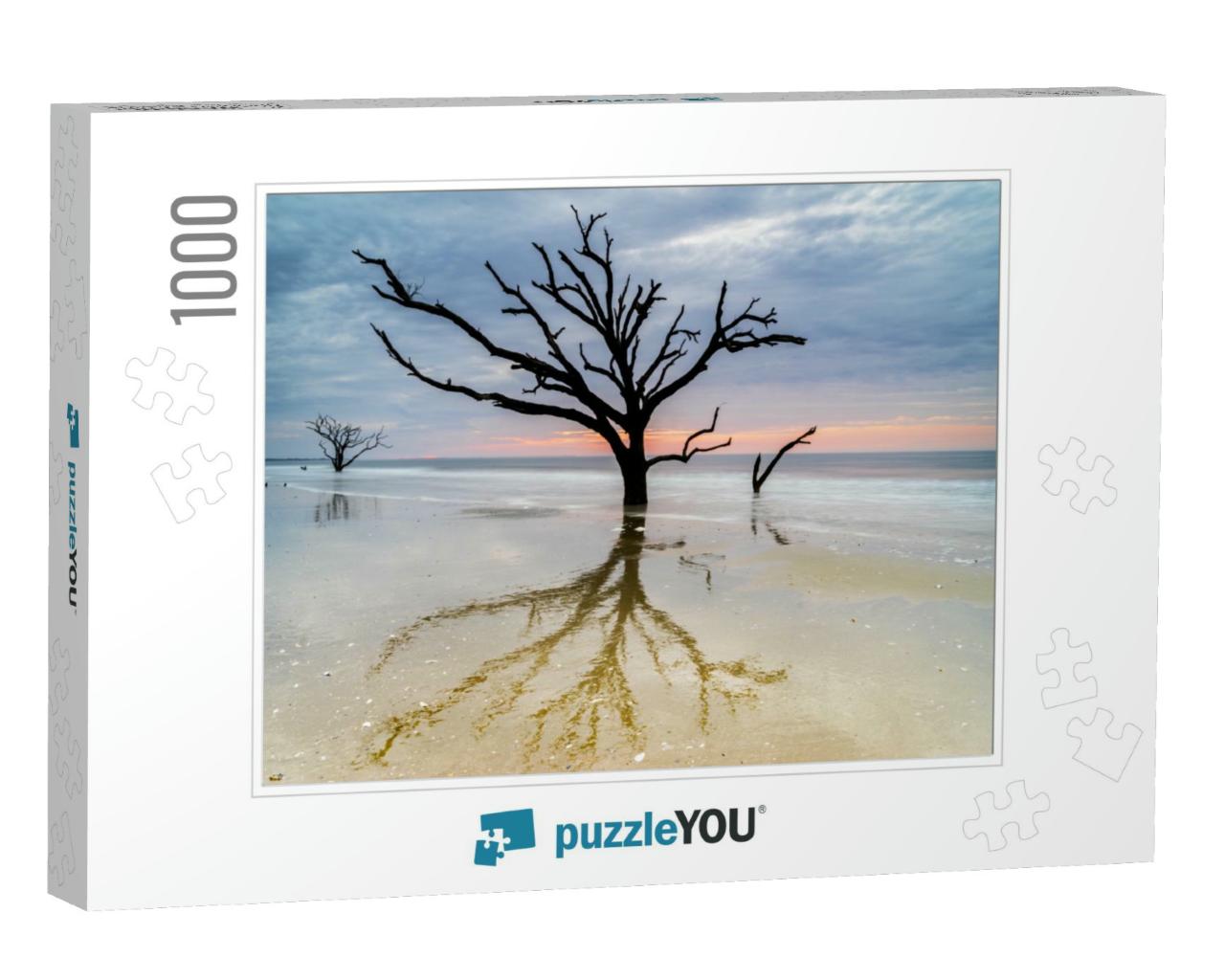 An Aged, Weathered Oak Tree Lingers on the Edisto Island... Jigsaw Puzzle with 1000 pieces