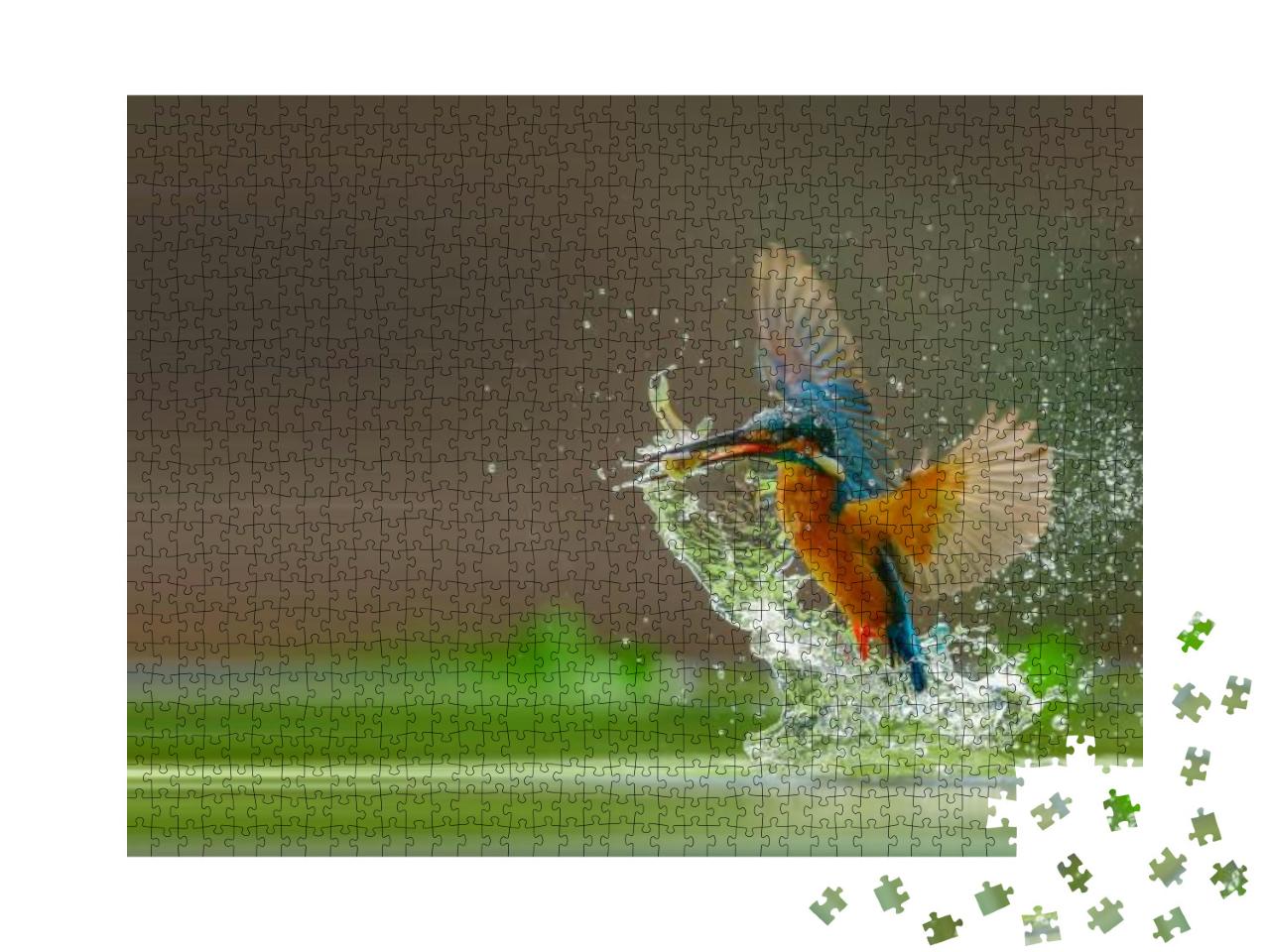 Common Kingfisher Catches Fish Out of Water... Jigsaw Puzzle with 1000 pieces