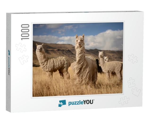 Llamas Alpaca in Andes Mountains, Peru, South America... Jigsaw Puzzle with 1000 pieces