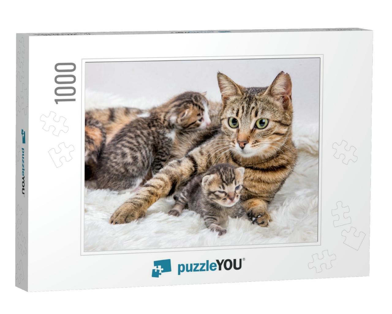 Mom Mother Cat & Baby Cat Kitten... Jigsaw Puzzle with 1000 pieces