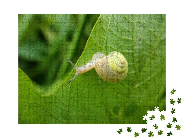 Little Yellow Snail Crawling Behind the Leaf... Jigsaw Puzzle with 1000 pieces