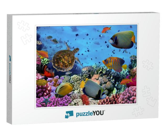 Colorful Coral Reef with Many Fishes & Sea Turtle... Jigsaw Puzzle