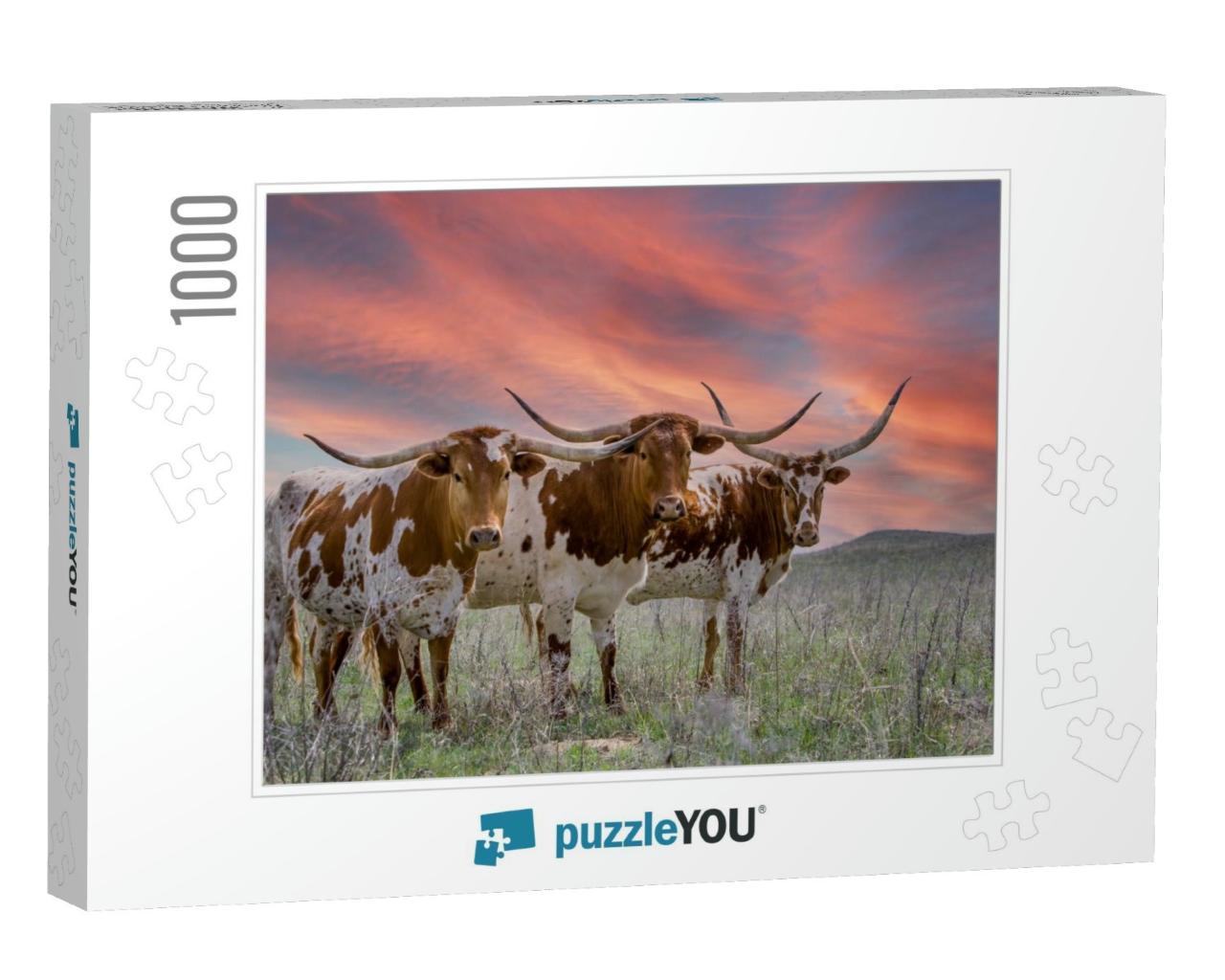 Texas Longhorn Cattle At Sunset in a Pasture in the Oklah... Jigsaw Puzzle with 1000 pieces
