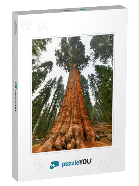 Giant Sequoia Tree - General Sherman in Sequoia National... Jigsaw Puzzle