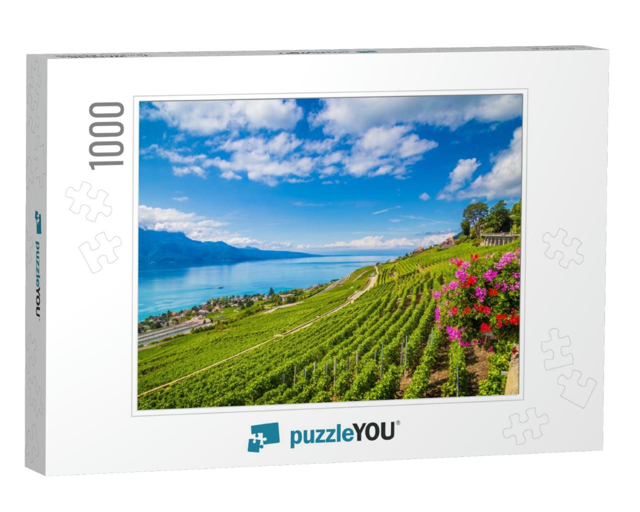 Beautiful Scenery with Rows of Vineyard Terraces in Famou... Jigsaw Puzzle with 1000 pieces