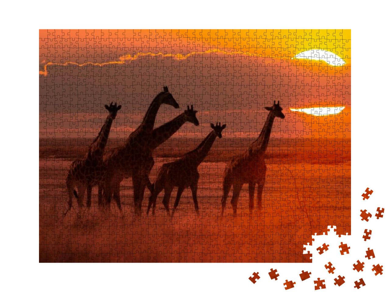 Moody Sunset in African Savanna with a Giraffe Herd, Conc... Jigsaw Puzzle with 1000 pieces