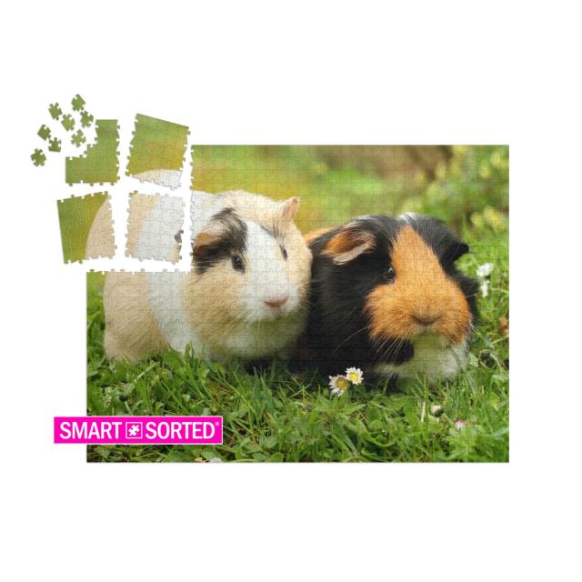 Two Cute Guinea Pigs... | SMART SORTED® | Jigsaw Puzzle with 1000 pieces