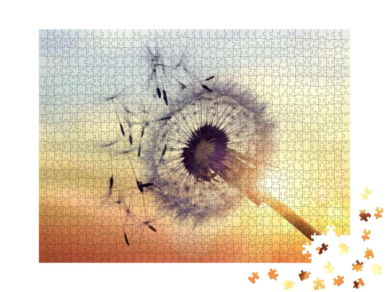 Dandelion Silhouette Against Sunset with Seeds Blowing in... Jigsaw Puzzle with 1000 pieces