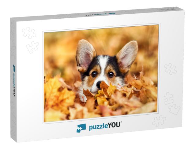 Welsh Corgi Puppy in Autumn Leaves... Jigsaw Puzzle