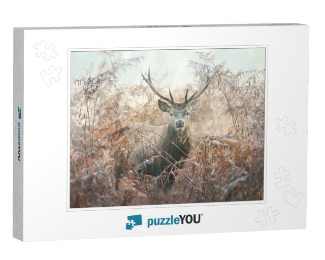 Portrait of a Red Deer Stag in Bracken on a Misty Autumn... Jigsaw Puzzle