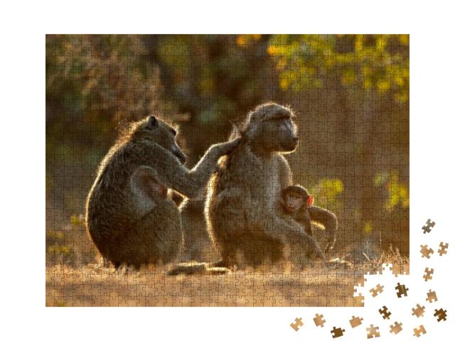 Backlit Family of Chacma Baboons Papio Ursinus, Kruger Na... Jigsaw Puzzle with 1000 pieces