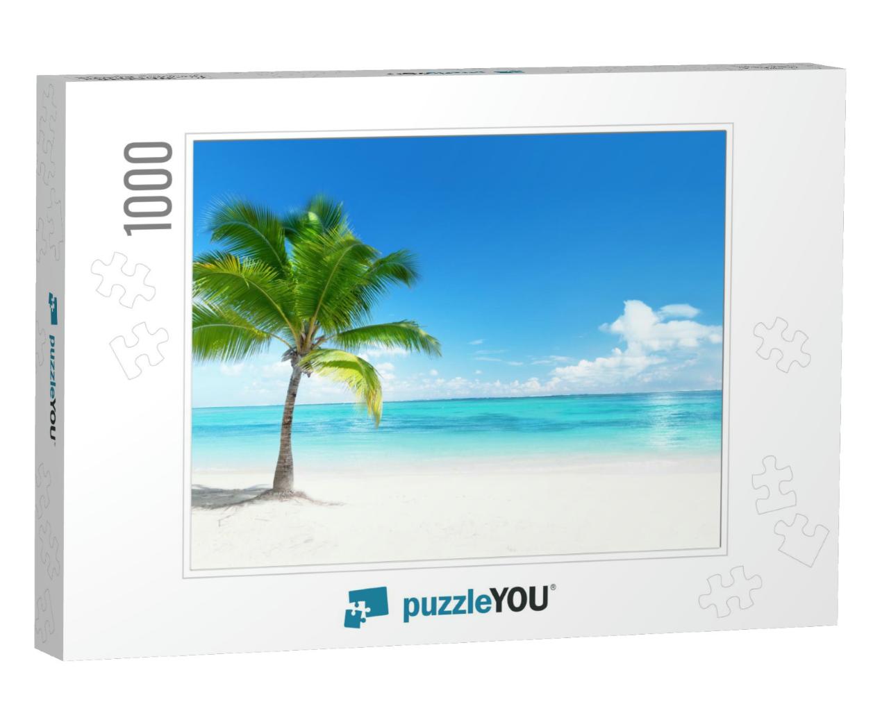 Palm on the Beach, Dominican Republic... Jigsaw Puzzle with 1000 pieces