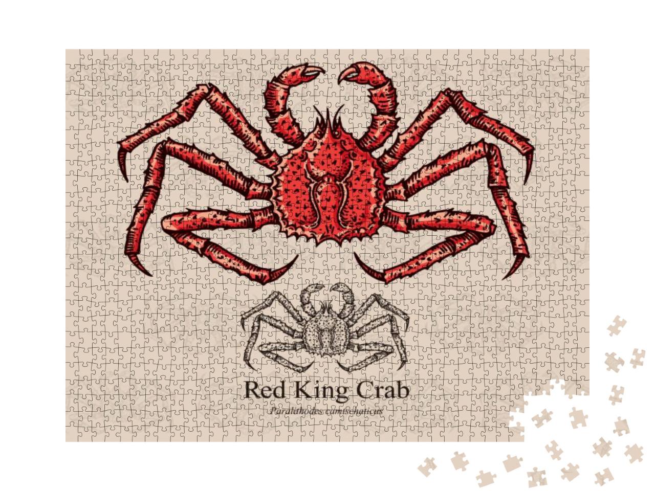 Red King Crab. Vector Illustration with Refined De... Jigsaw Puzzle with 1000 pieces