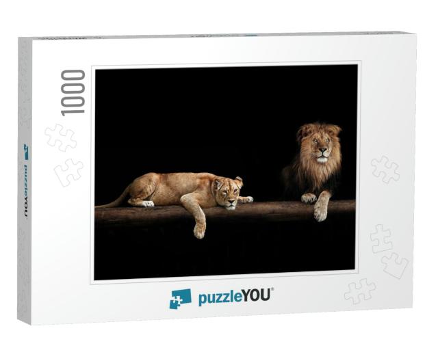 Lion & Lioness, Animal Family. Portrait in the Dark, Afte... Jigsaw Puzzle with 1000 pieces