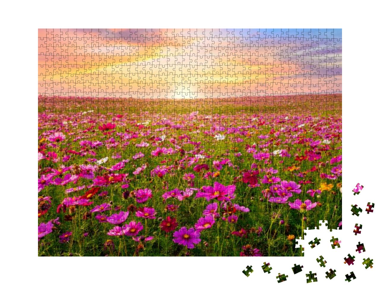 Beautiful & Amazing of Cosmos Flower Field Landscape in S... Jigsaw Puzzle with 1000 pieces