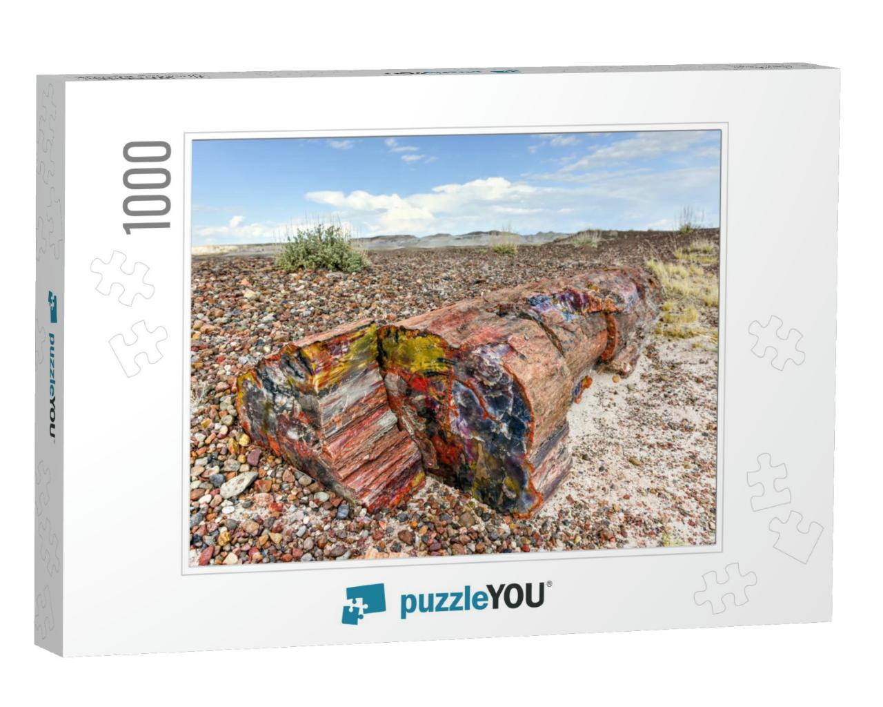 The Crystal Forest in the Petrified Forest National Park... Jigsaw Puzzle with 1000 pieces