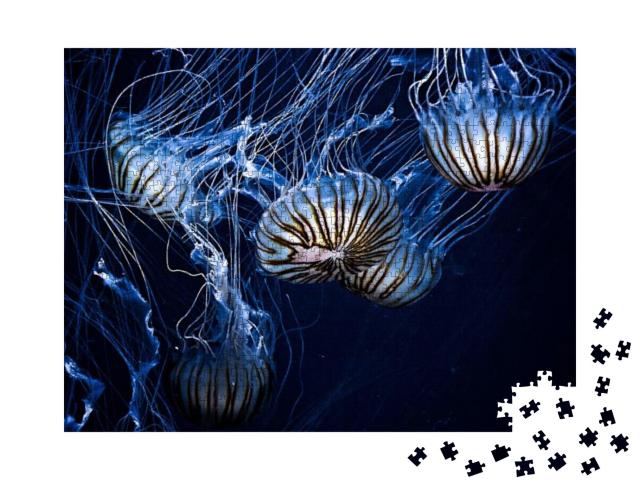Magical Shining Jellyfish Underwater in the Dark... Jigsaw Puzzle with 1000 pieces