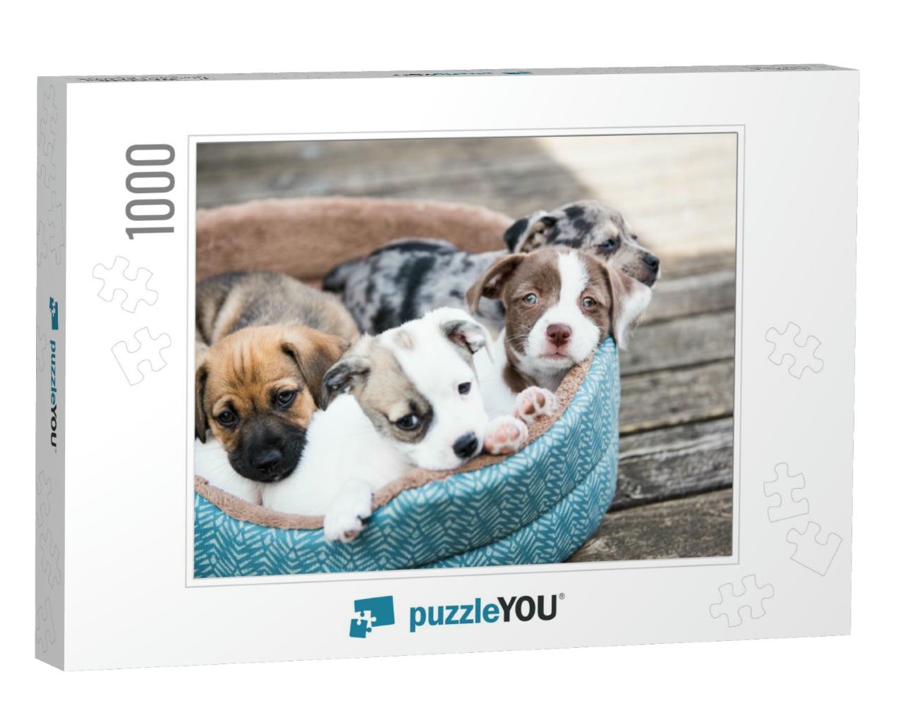 Litter of Terrier Mix Puppies Playing in Dog Bed Outside... Jigsaw Puzzle with 1000 pieces
