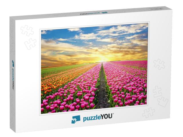 A Magical Landscape with Sunrise Over Tulip Field in the... Jigsaw Puzzle