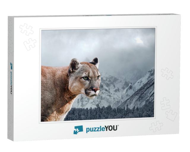 Portrait of a Cougar, Mountain Lion, Puma, Panther... Jigsaw Puzzle