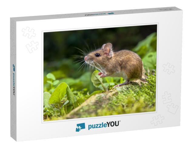 Wild Wood Mouse Resting on the Root of a Tree on the Fore... Jigsaw Puzzle