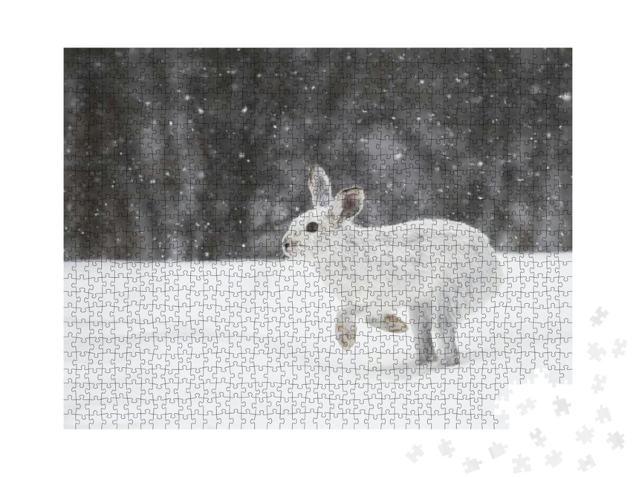 White Snowshoe Hare or Varying Hare Running in the Fallin... Jigsaw Puzzle with 1000 pieces
