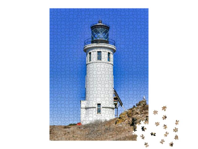 Anacapa Island Lighthouse with Nesting Seagulls At Channe... Jigsaw Puzzle with 1000 pieces