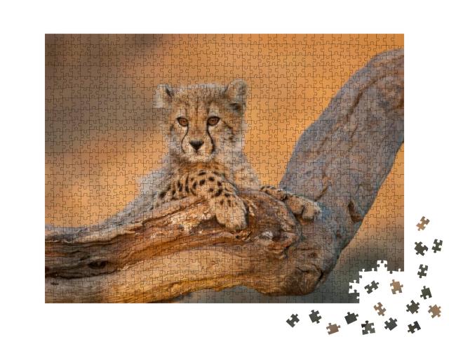 Baby Cheetah with Big Eyes Portrait Sitting on a Dead Log... Jigsaw Puzzle with 1000 pieces