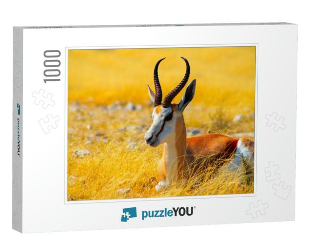Wild African Animals. the Springbok Medium-Sized Antelope... Jigsaw Puzzle with 1000 pieces