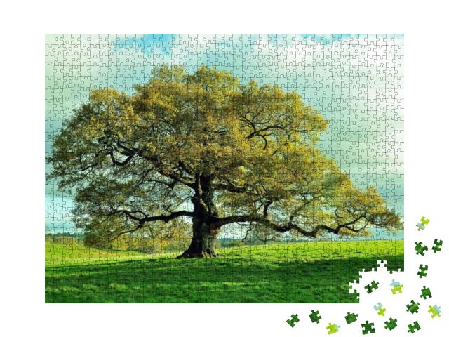 Old Oak Tree in an English Meadow... Jigsaw Puzzle with 1000 pieces