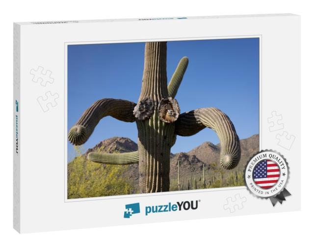 Saguaro National Park in the Southwest... Jigsaw Puzzle
