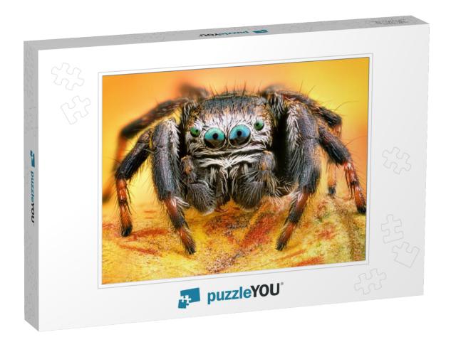 Extreme Sharp & Detailed Portrait of Polish Jumping Spide... Jigsaw Puzzle