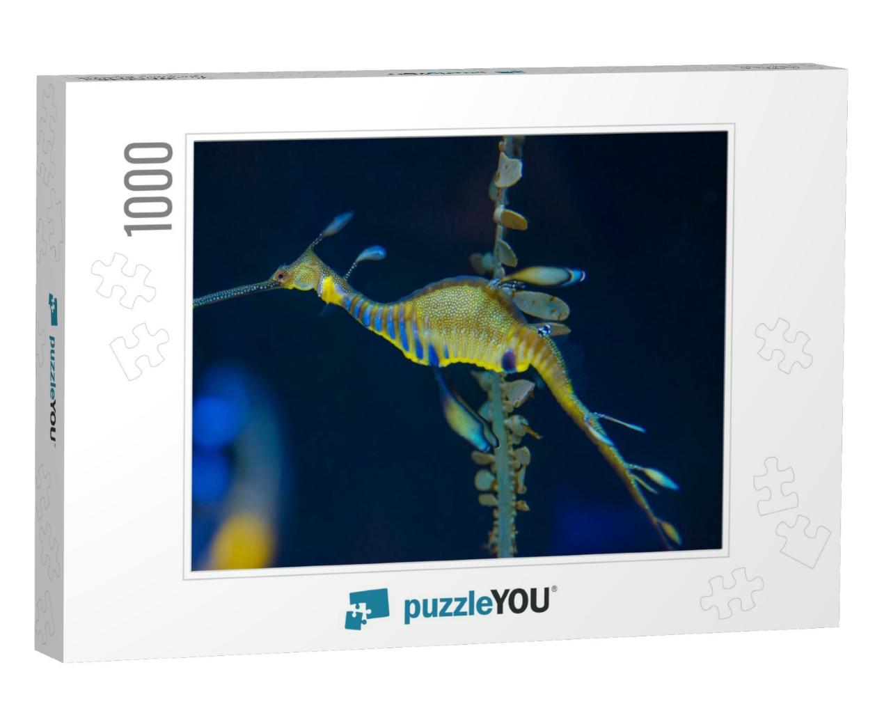 Seahorse in Colorful Salt Water Marine Aquarium... Jigsaw Puzzle with 1000 pieces