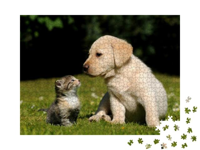 Cat & Dog... Jigsaw Puzzle with 1000 pieces