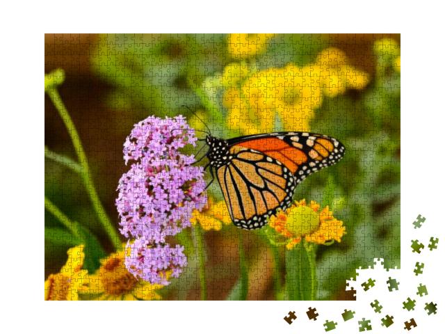 Monarch Butterfly - a Monarch Butterfly Feeding on Pink F... Jigsaw Puzzle with 1000 pieces