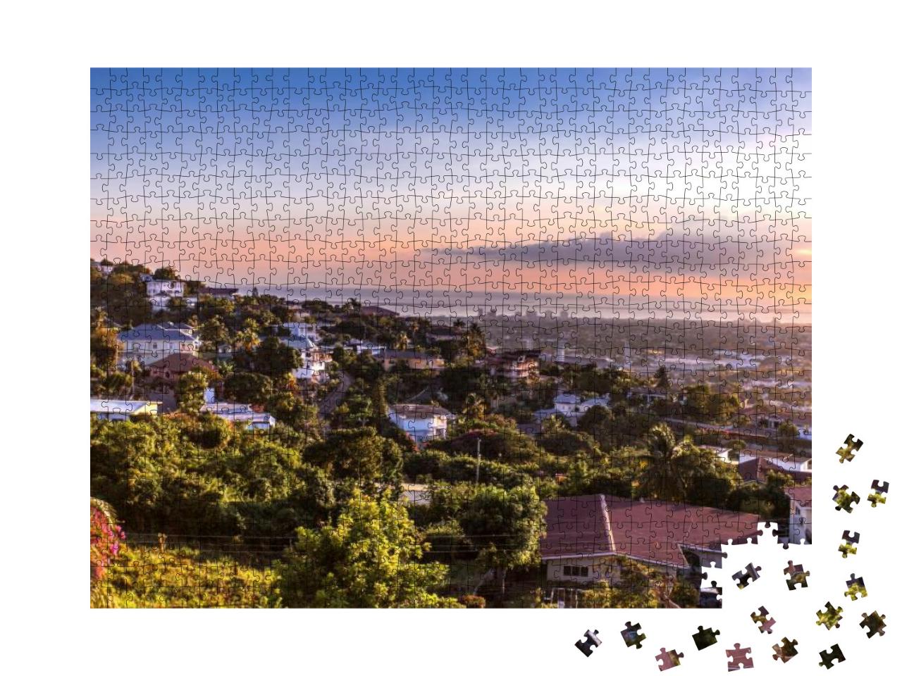 Kingston City Hills in Jamaica Sunset with Flowers... Jigsaw Puzzle with 1000 pieces