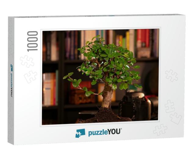 High Quality Photo, Bonsai Tree in the Study, Background... Jigsaw Puzzle with 1000 pieces