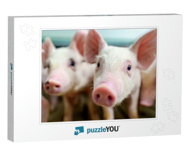 Pig Farm Industry Farming Hog Barn Pork... Jigsaw Puzzle