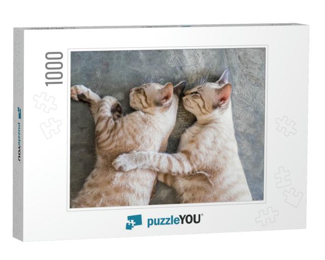 Two Cat Kitten Brethren Sleeping Hug Embrace... Jigsaw Puzzle with 1000 pieces