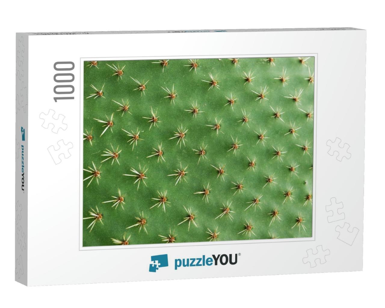 Closeup of Spines on Cactus, Background Cactus with Spine... Jigsaw Puzzle with 1000 pieces
